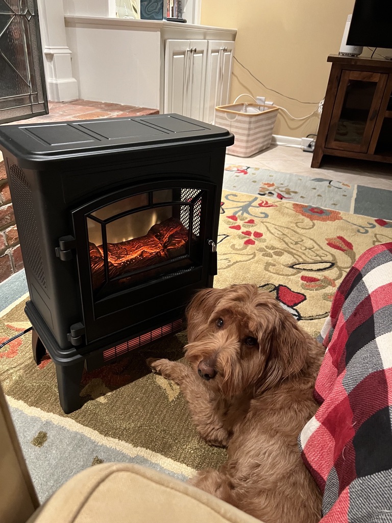 Amber by a fireplace