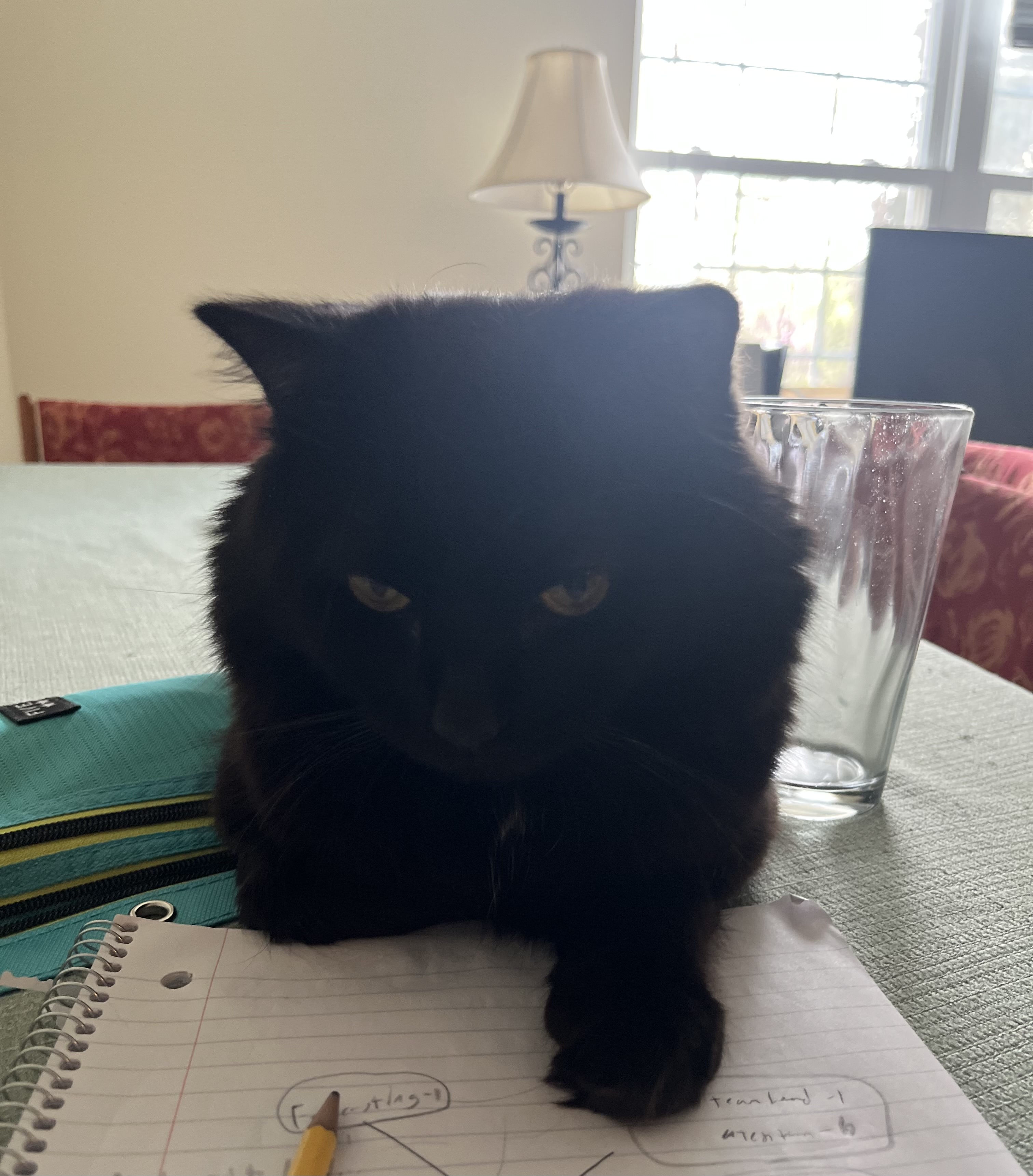 Batman sitting on a notebook at a table