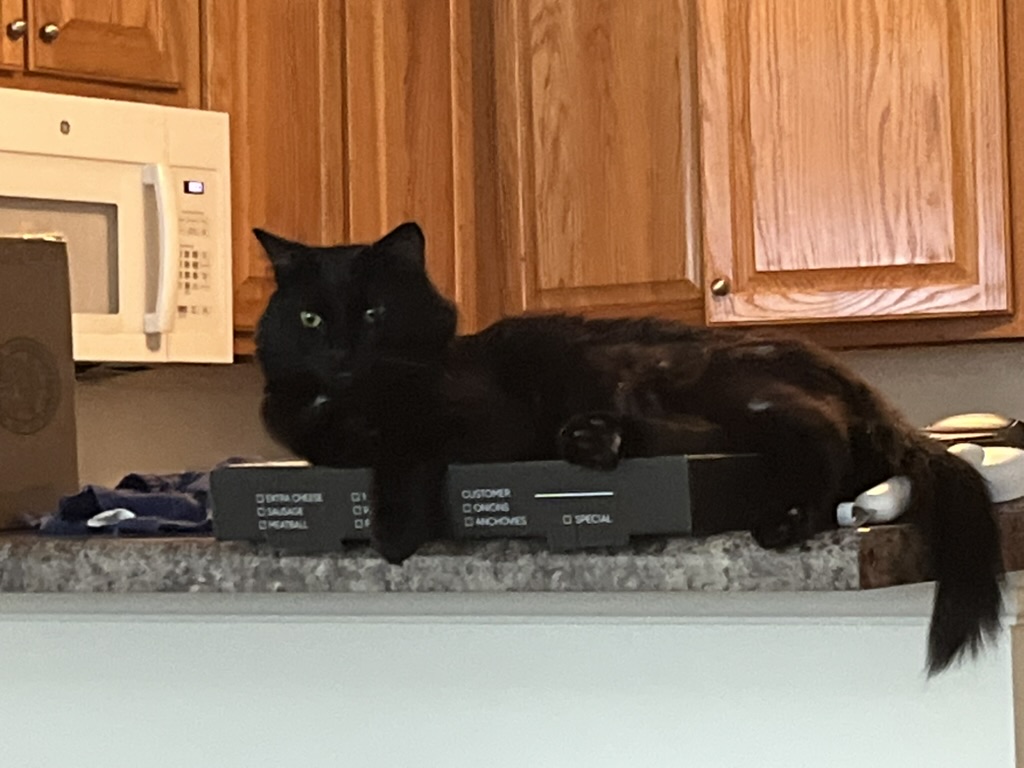 Batman lying on a pizza box